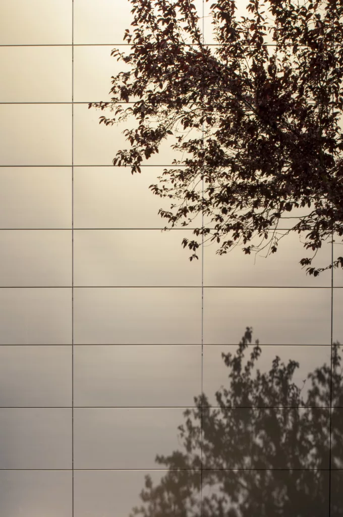 Restructuration collège Langevin Wallon