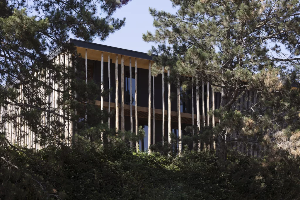 Restructuration Maison de la Forêt