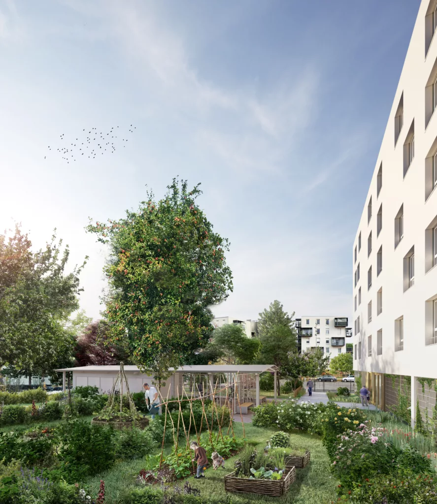 Construction de 20 logements collectifs / plateau de Haye