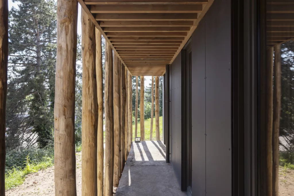 Restructuration Maison de la Forêt