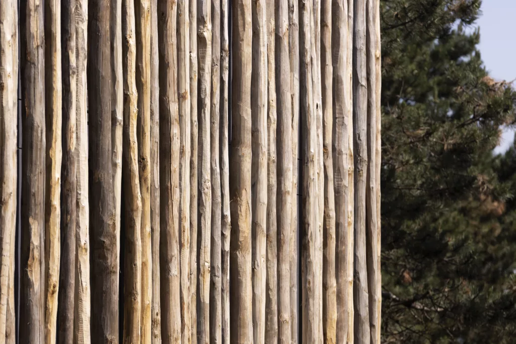 Restructuration Maison de la Forêt