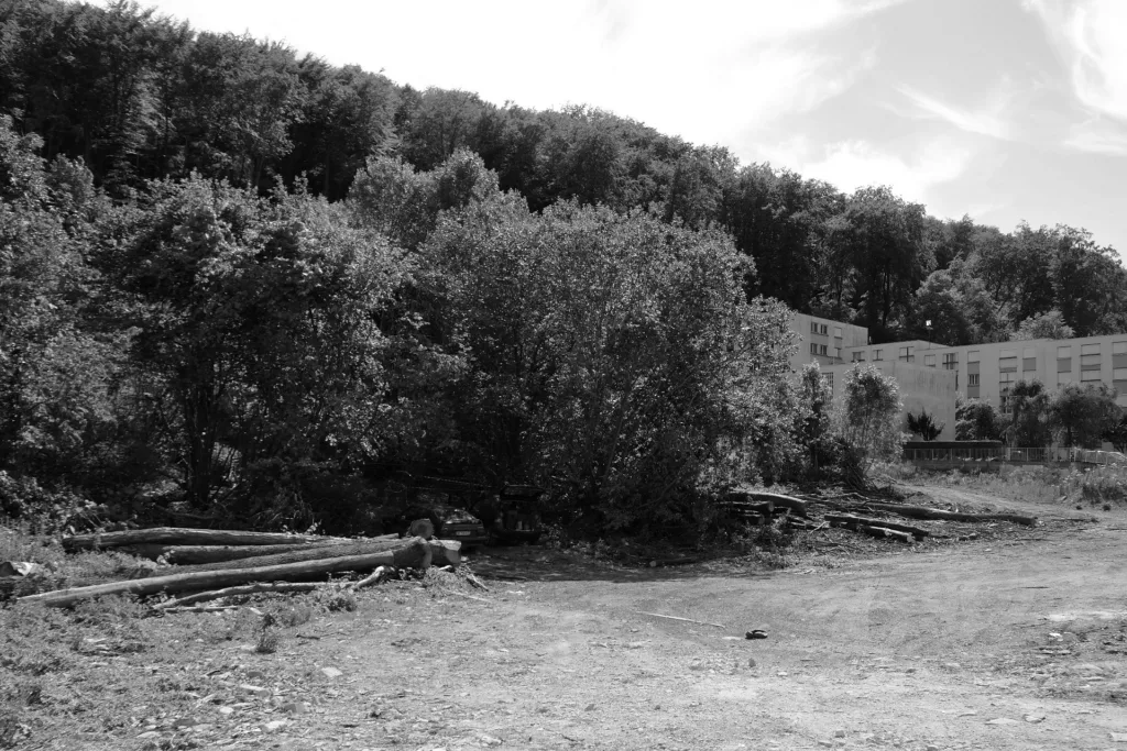 Construction de 11 logements dans la pente