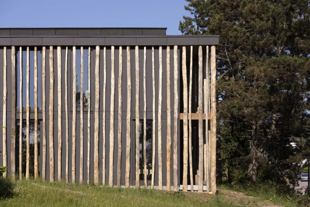 Restructuration Maison de la Forêt