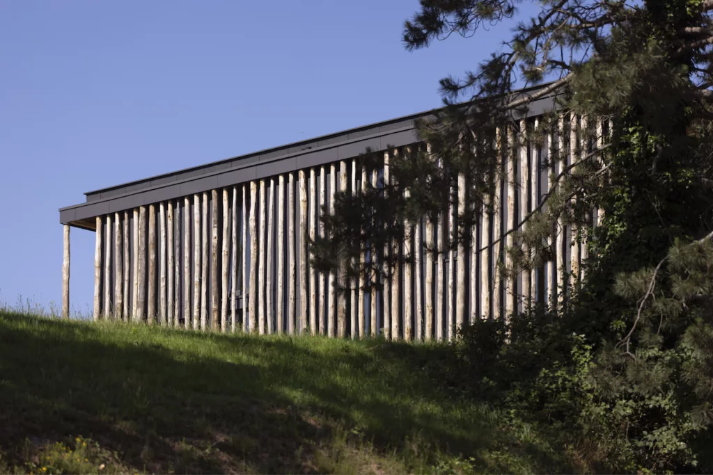 Restructuration Maison de la Forêt